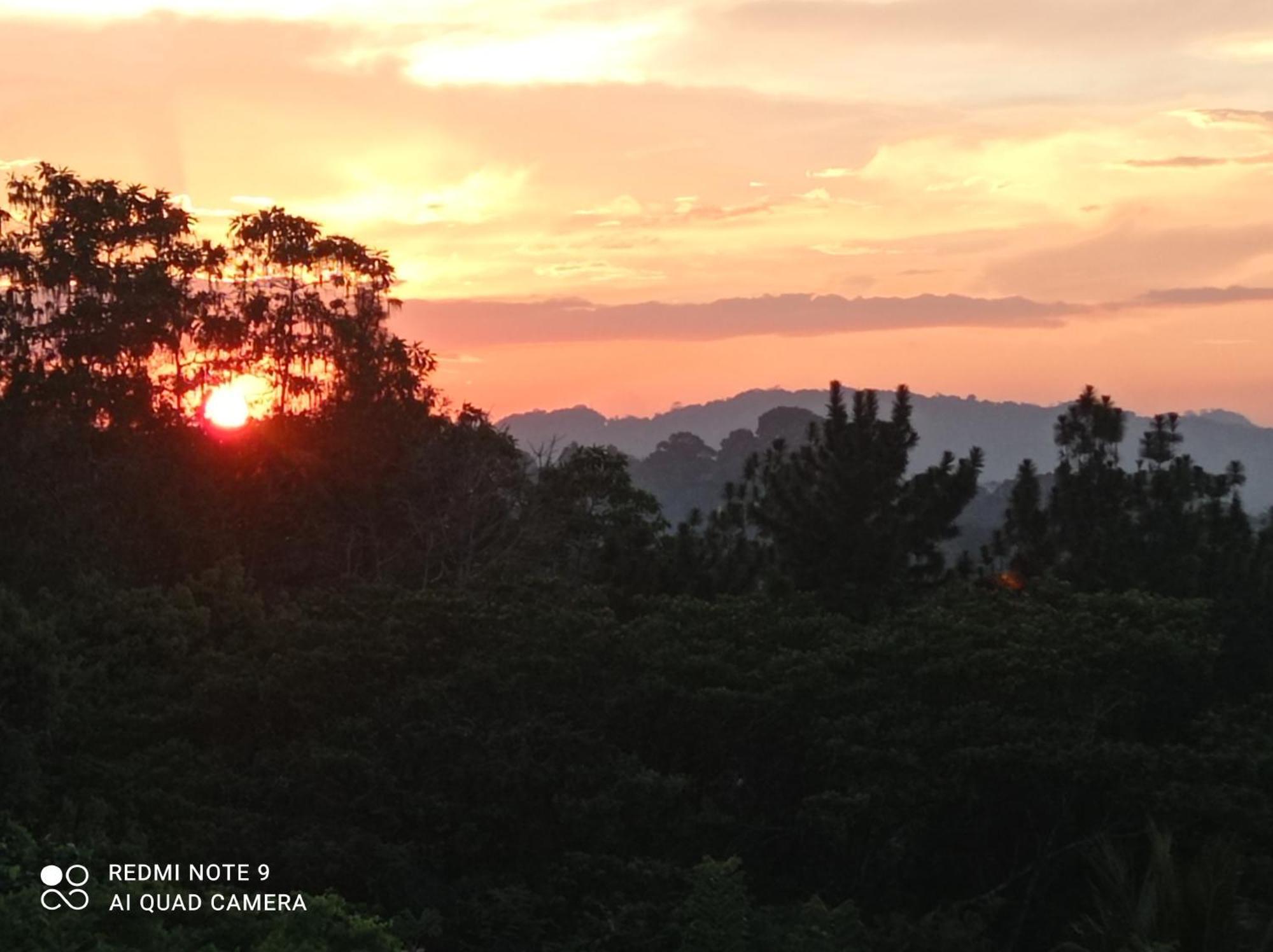 Villa Forest View - No: 50/17 Kandy Exterior foto